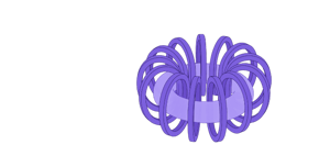 tokamak